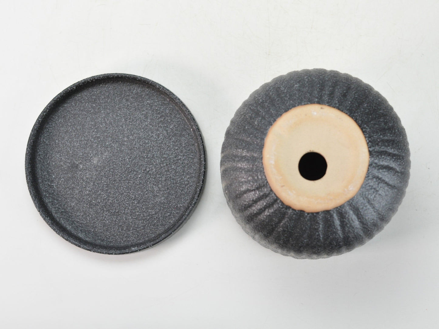 5号鉢(幅14～16cm)