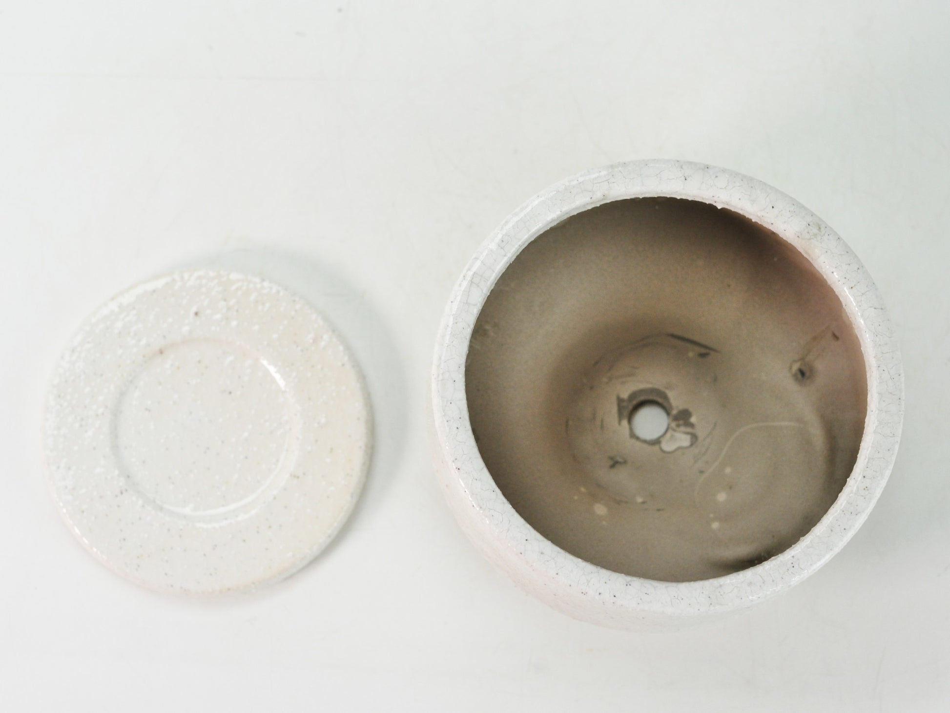 5号鉢(幅14～16cm)