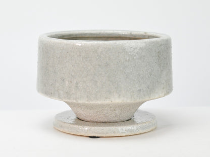 5号鉢(幅14～16cm)