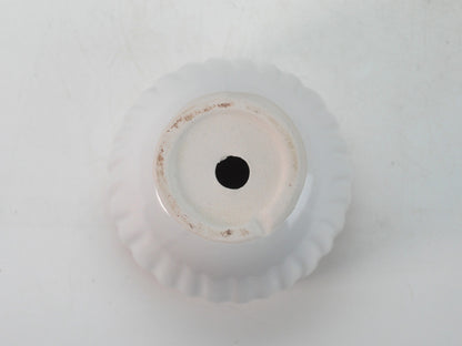 4号鉢(幅11～14cm)