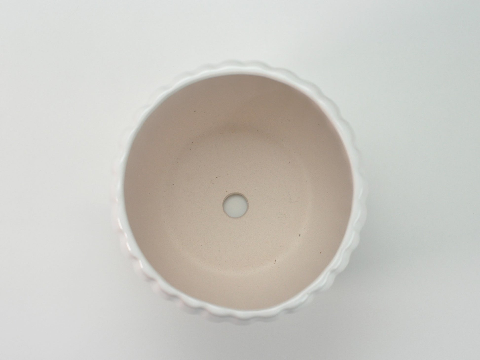 5号鉢(幅14～16cm)