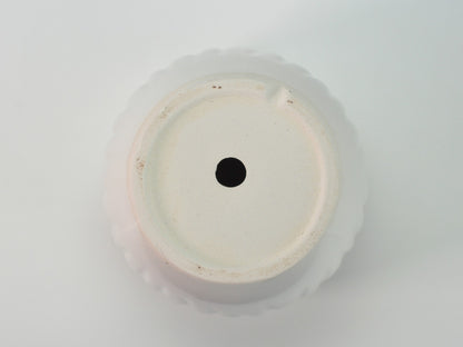 5号鉢(幅14～16cm)