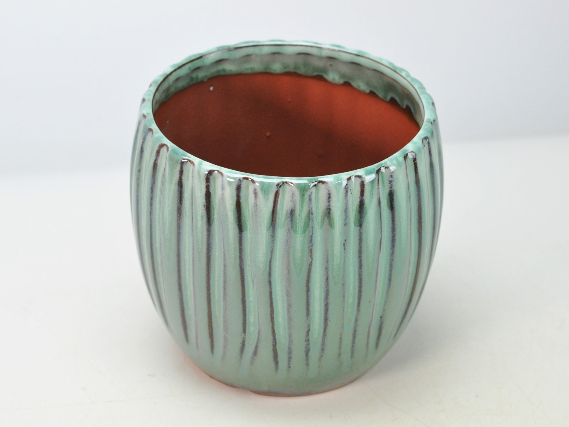 5号鉢(幅14～16cm)