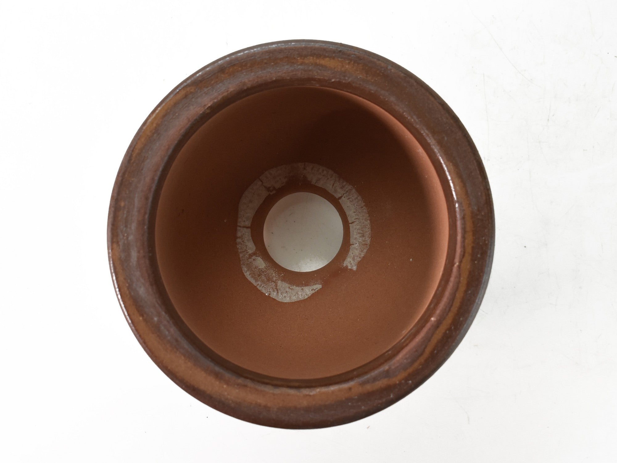 信楽焼 イラボ松皮観音竹鉢 6号 幅19cm×高さ15cmの販売｜盆栽妙 – 盆栽