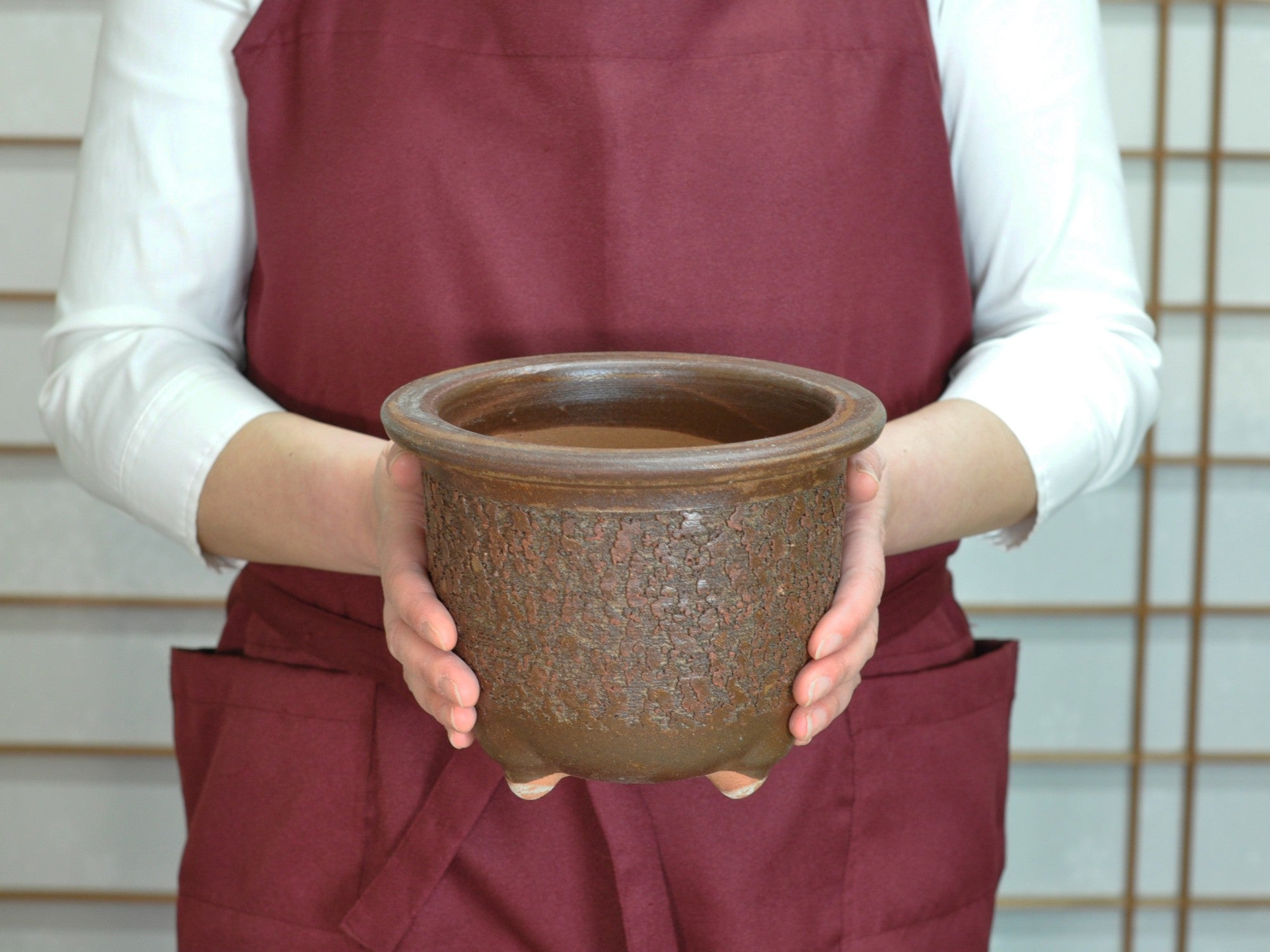 信楽焼 イラボ松皮観音竹鉢 6号 幅19cm×高さ15cmの販売｜盆栽妙 – 盆栽