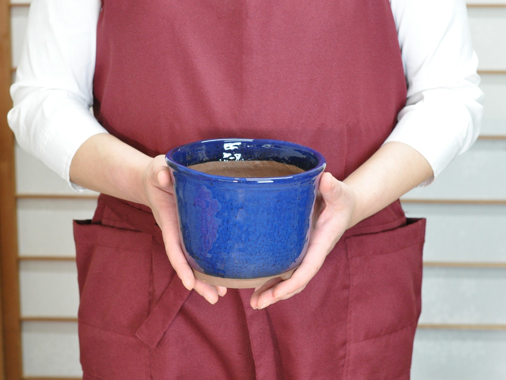 生子 5号 エビネ鉢 幅15cm×高さ11.5cmの販売｜盆栽妙 – 盆栽妙 本店