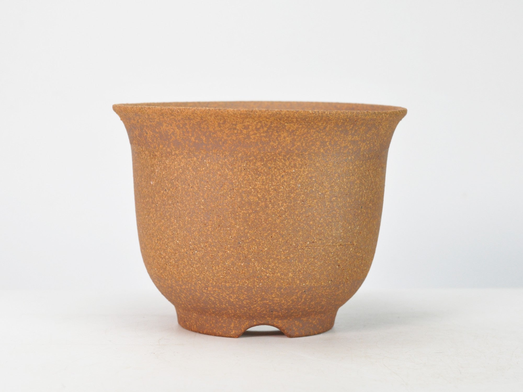 還元 エビネ鉢 6号 幅18cm×高さ14cmの販売｜盆栽妙 – 盆栽妙 本店