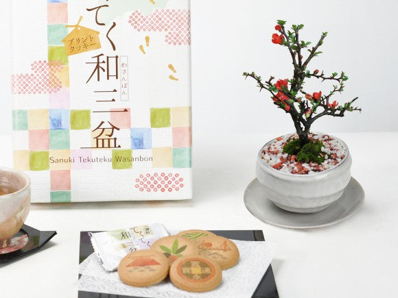 盆付茶菓揃鎌倉　菓子鉢セット　梅 ミニ長寿梅白波和鉢(受け皿付き)と和三盆クッキーセットの盆栽の販売
