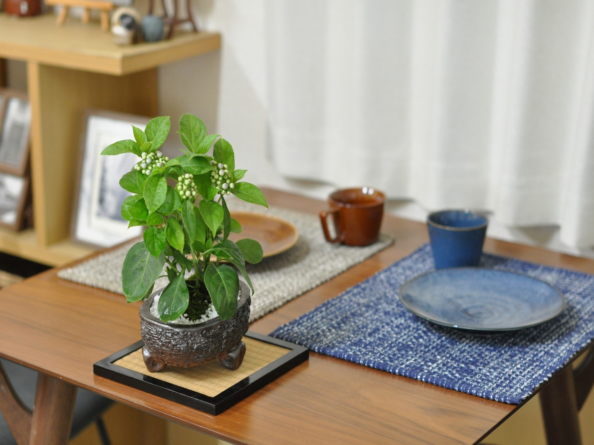 信楽焼　古谷忠六　三足花台　22cm 信楽焼 古谷忠六 三足花台 22cm 【公式通販】 花瓶・フラワースタンド