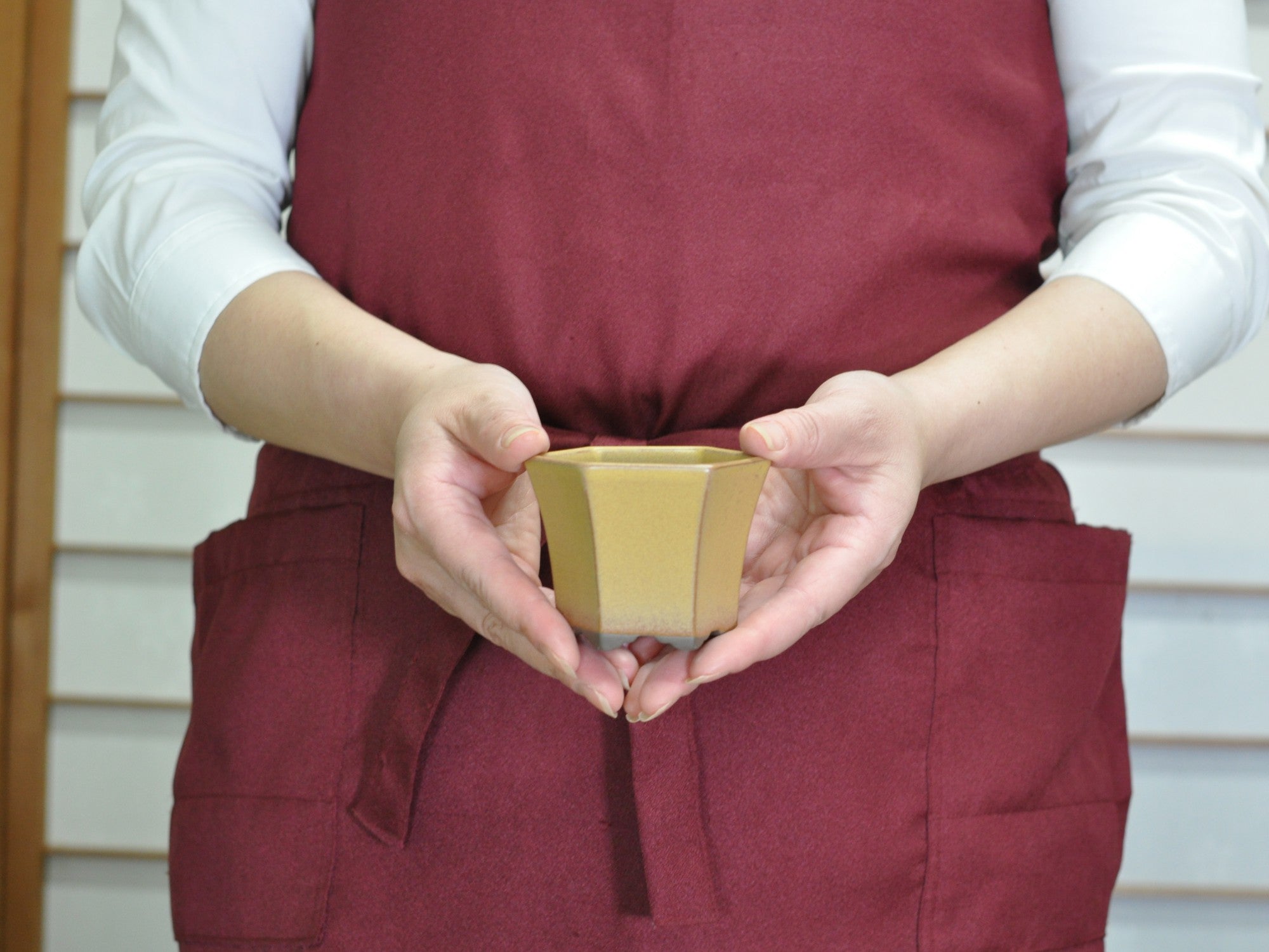瀬戸焼 黄2.5号六角ケンガイ 幅8cm奥行き8cm高さ6cmの販売｜盆栽妙