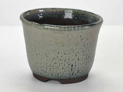 5号鉢(幅14～16cm)