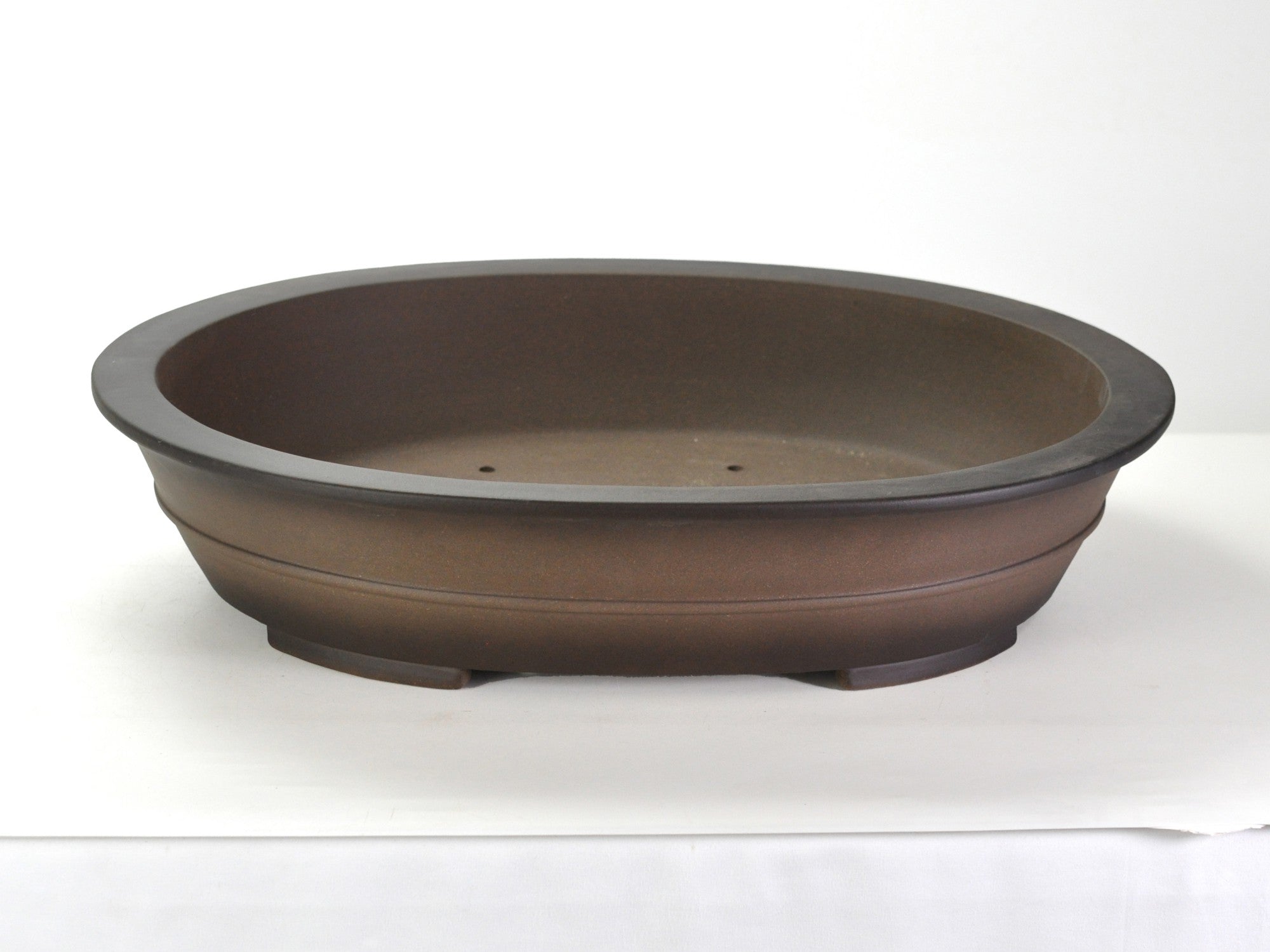 オバティホリア　鉢ごと売ります SA6496 里美 極小鉢 木瓜 - Bonsai Network Japan