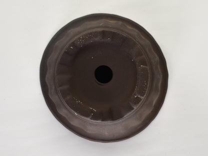 4号鉢(幅11～14cm)