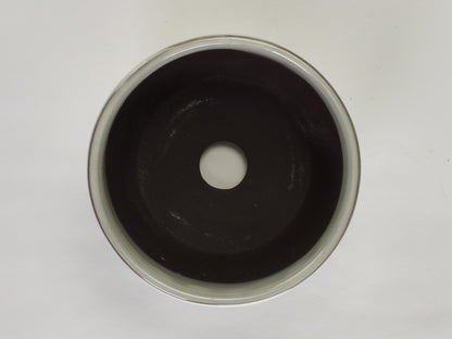 3号鉢(幅8～10cm)