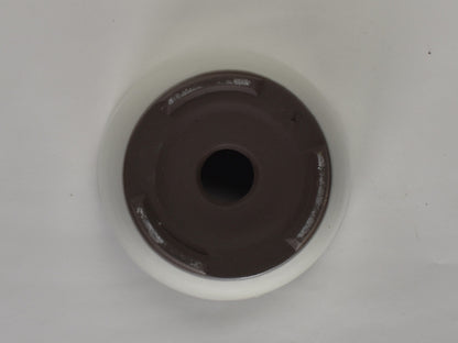 3号鉢(幅8～10cm)