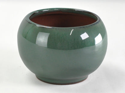 3号鉢(幅8～10cm)