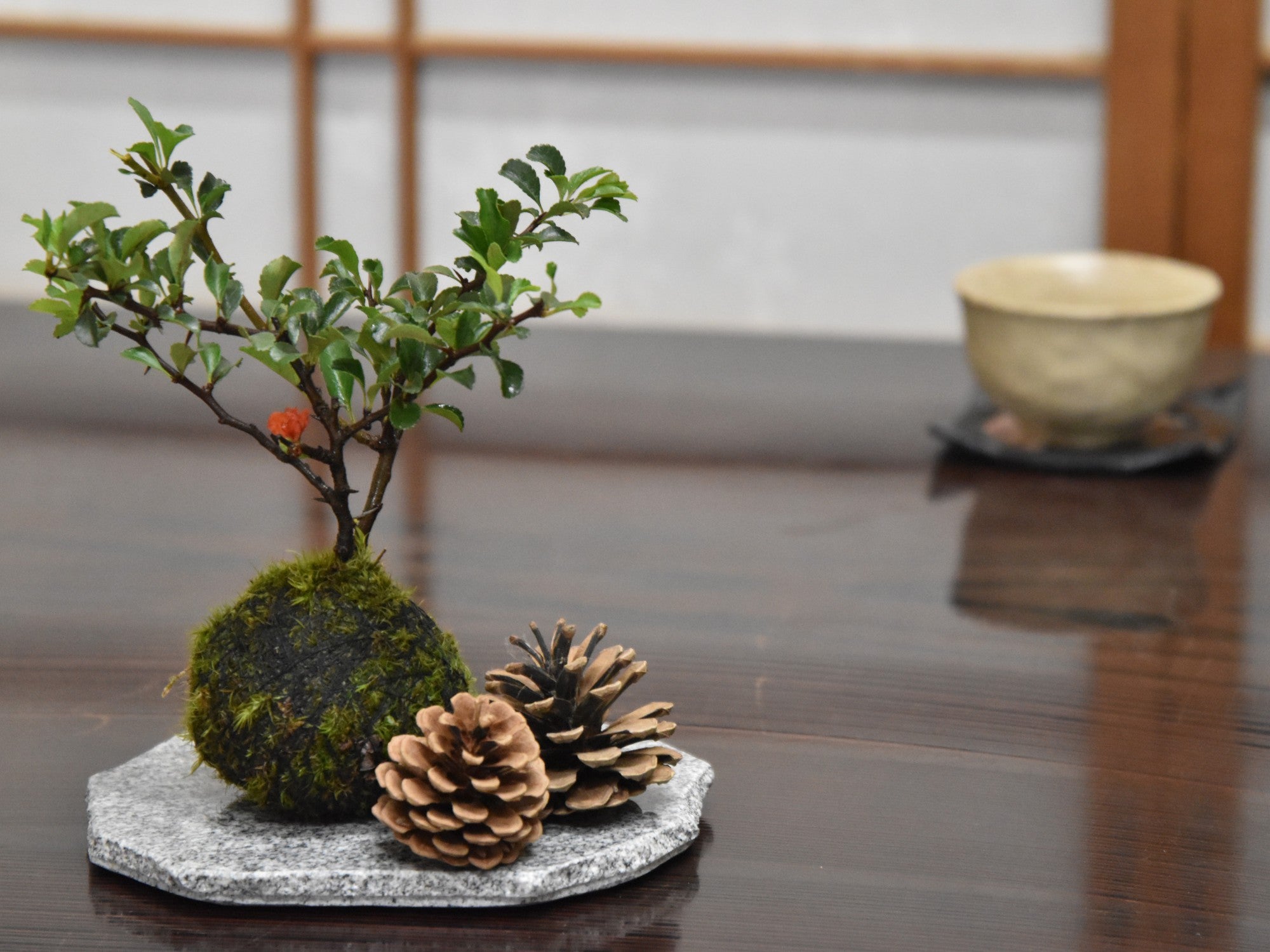 信楽焼 　明治 　飾り台 　珍品　盆栽飾り台　古美術台 GMHH317A○鉄刀木 タガヤサン 花台 飾り台 床の間 和風 木製