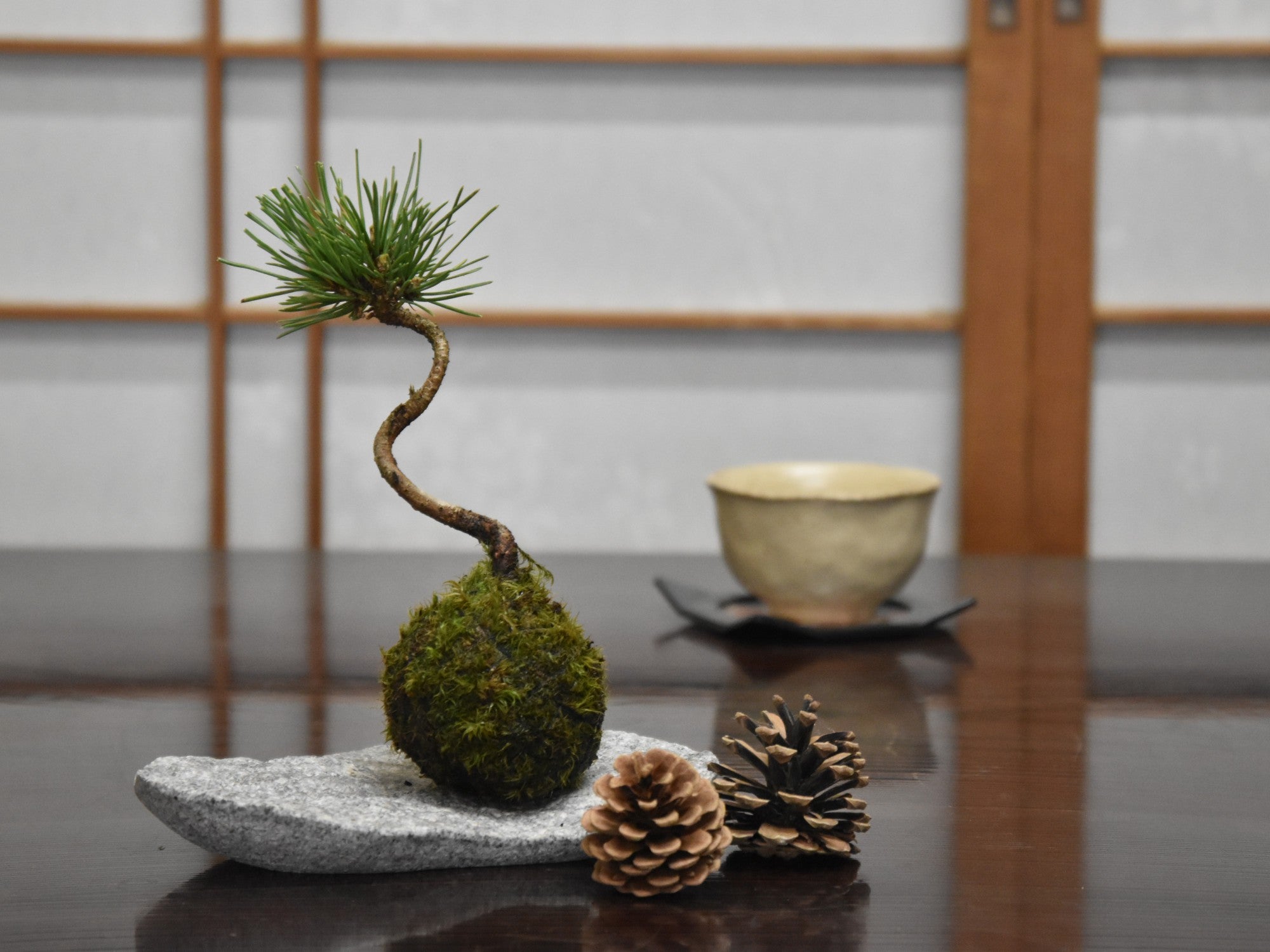庵治石 小さいお皿 敷物 自然肌の販売｜盆栽妙 – 盆栽妙 本店