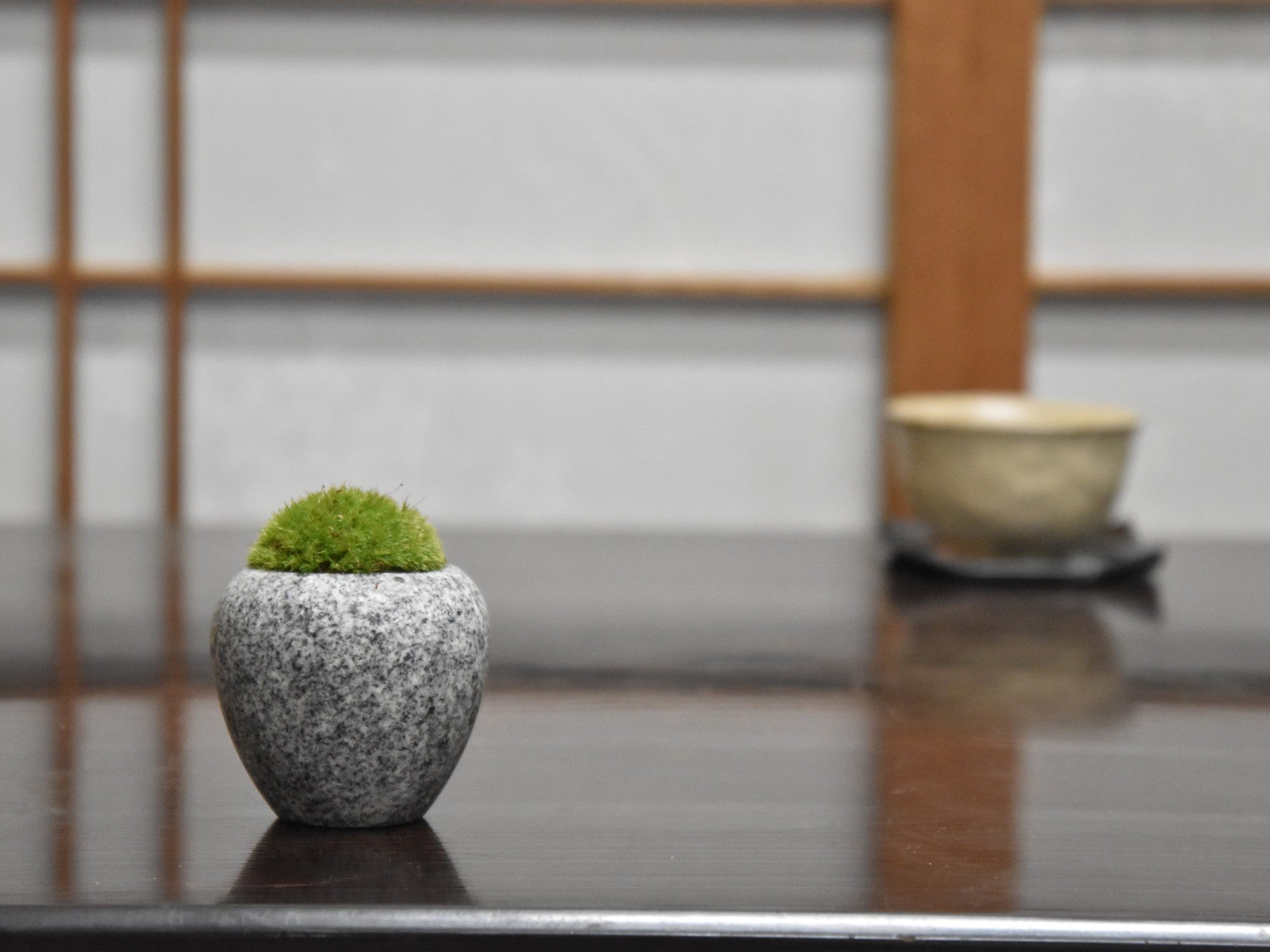 庵治石 丸い器 (水抜きなし)の販売｜盆栽妙 – 盆栽妙 本店