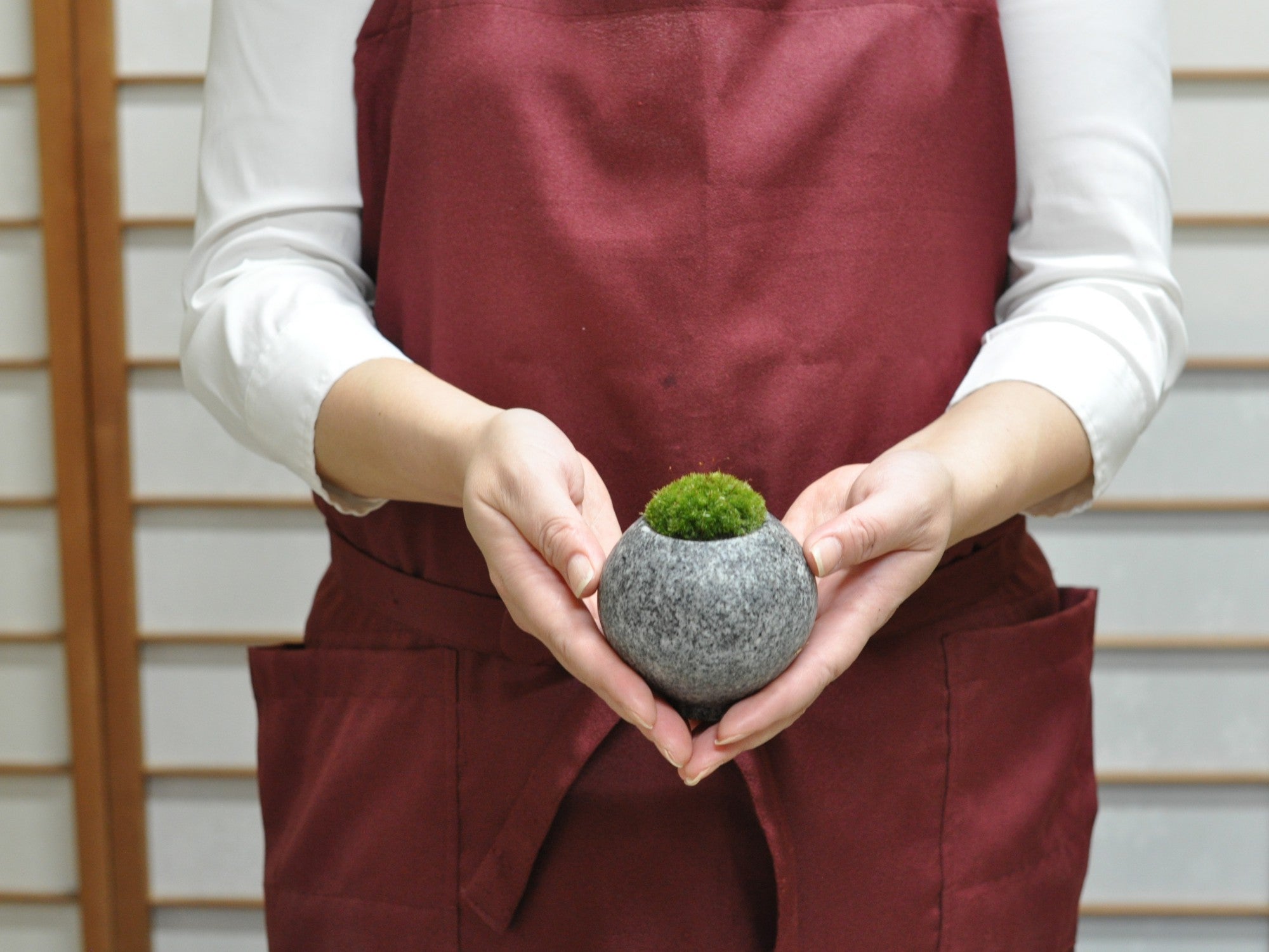 庵治石 苔盆栽 フリーザの盆栽の販売｜盆栽妙 – 盆栽妙 本店