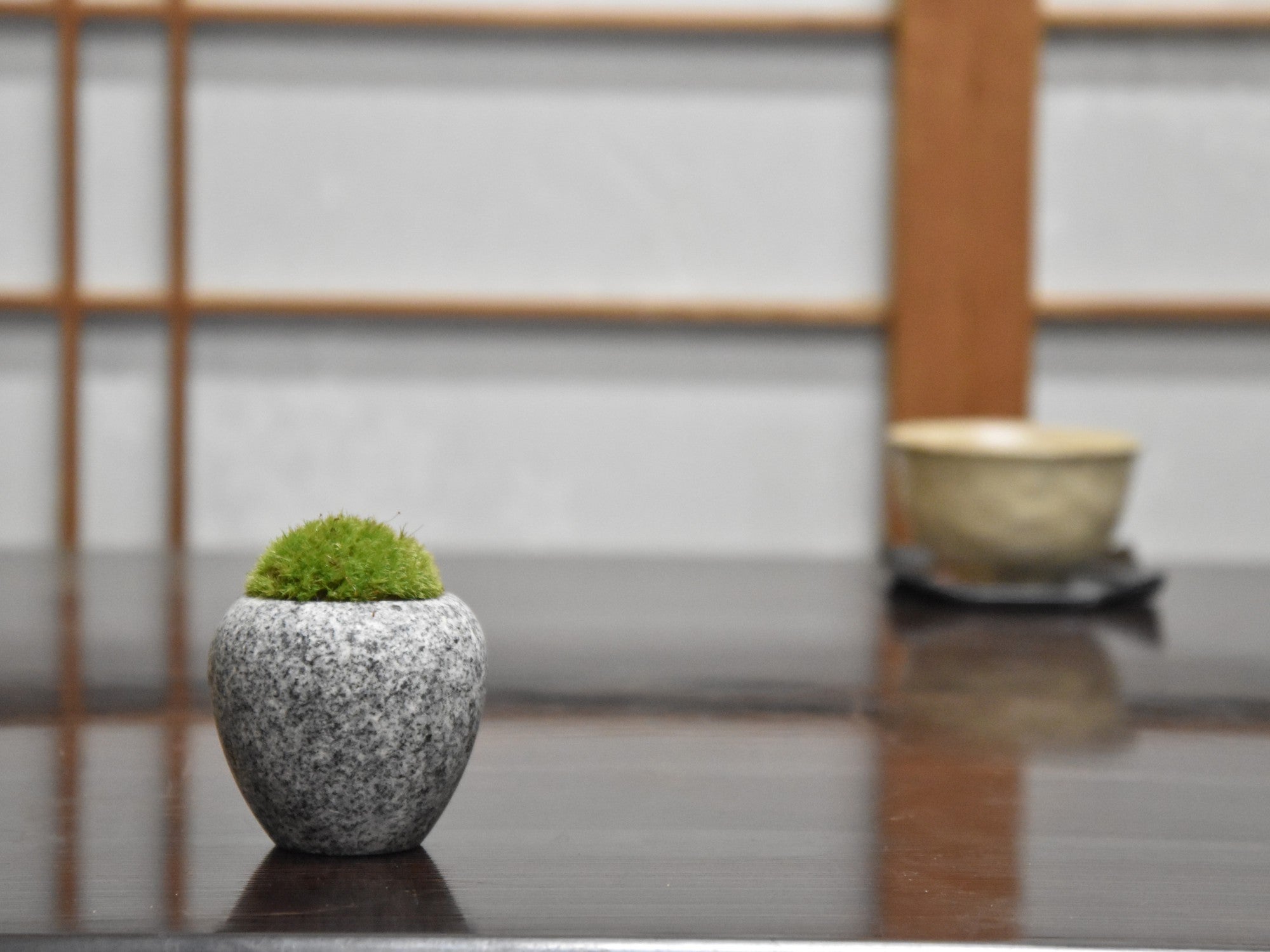 庵治石 苔盆栽 エッグストーンの盆栽の販売｜盆栽妙 – 盆栽妙 本店