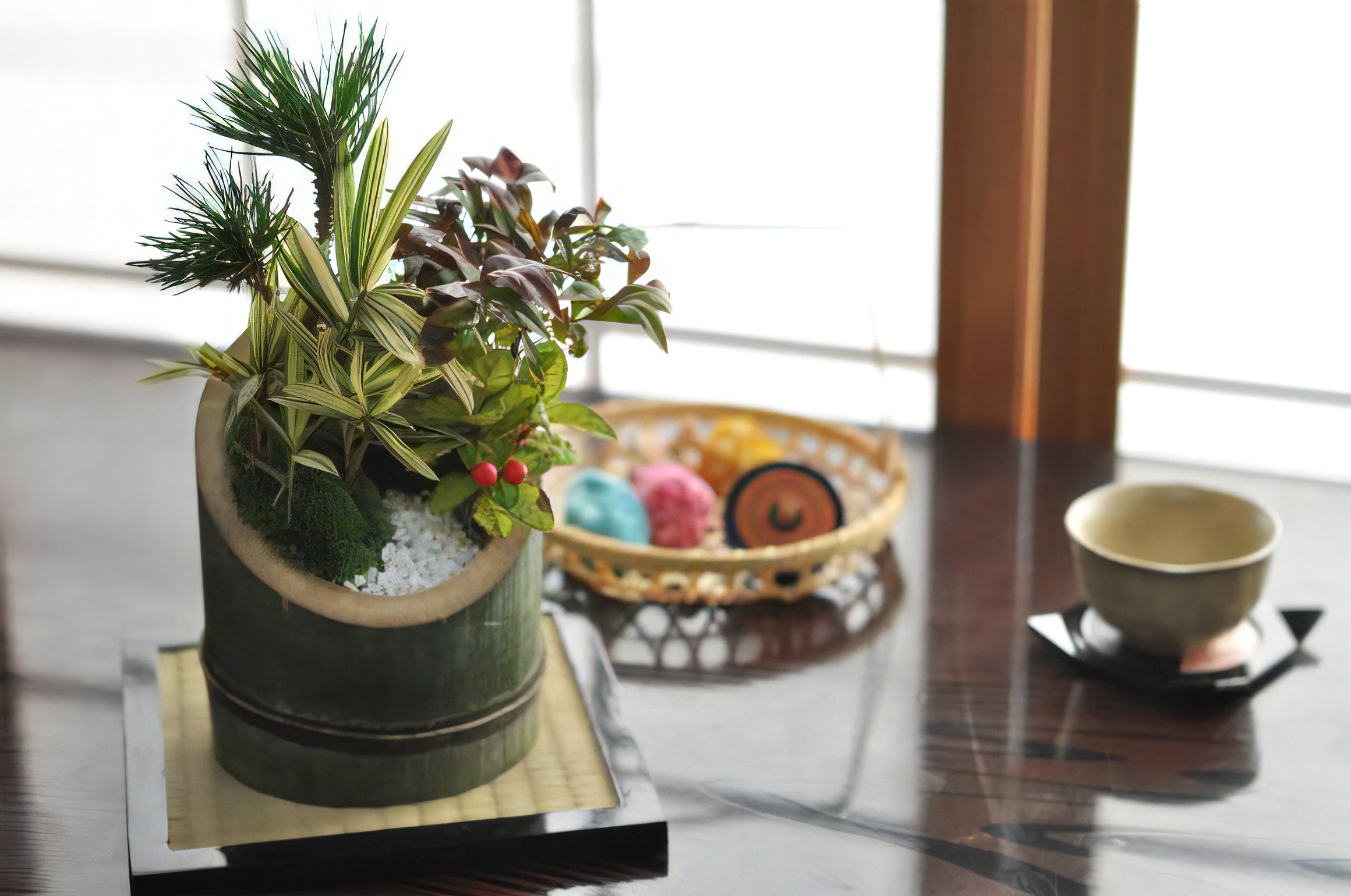 門松風寄せ植えの盆栽の販売｜盆栽妙 – 盆栽妙 本店