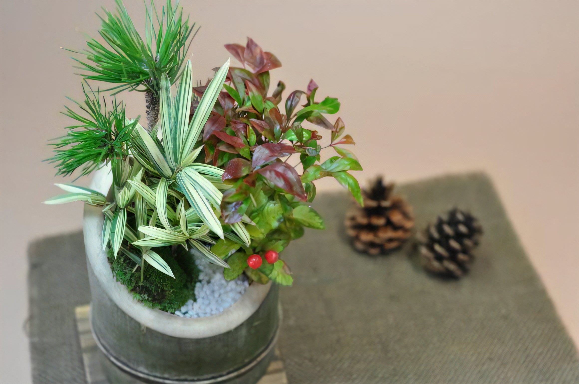 門松風寄せ植えの盆栽の販売｜盆栽妙 – 盆栽妙 本店