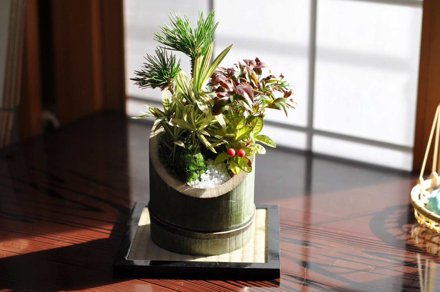 門松風寄せ植え【12月23日以降にお届け】