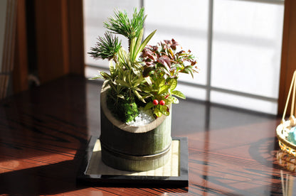 門松風寄せ植え【12月23日以降にお届け】