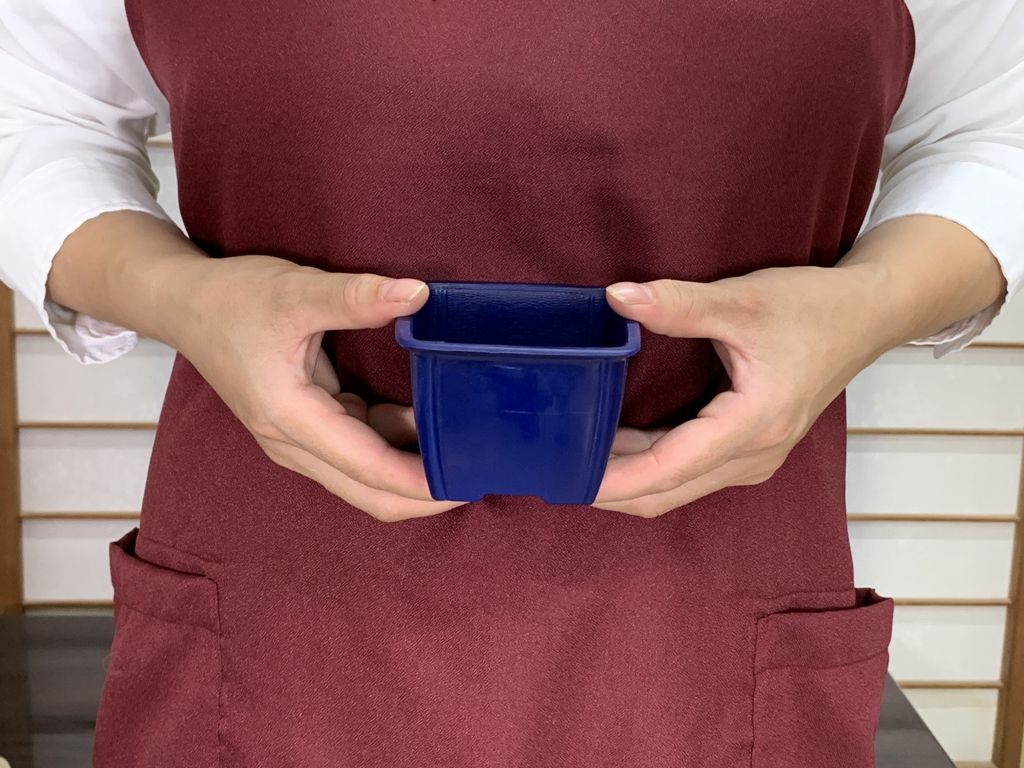 プラ鉢 2.5号 正角鉢 青 幅8.3cm×高さ6.3cm の販売｜盆栽妙 – 盆栽妙 本店