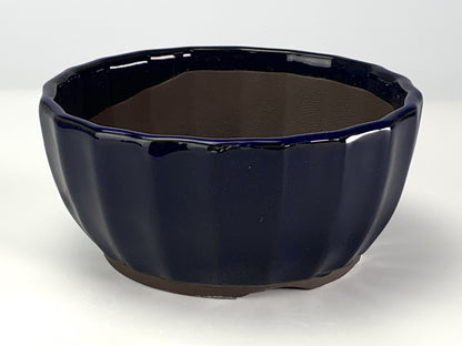 5号鉢(幅14～16cm)
