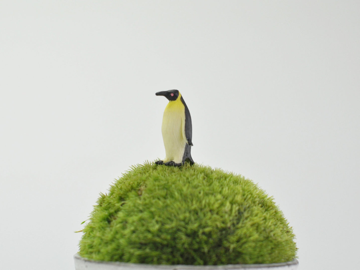 盆栽飾り・フィギア