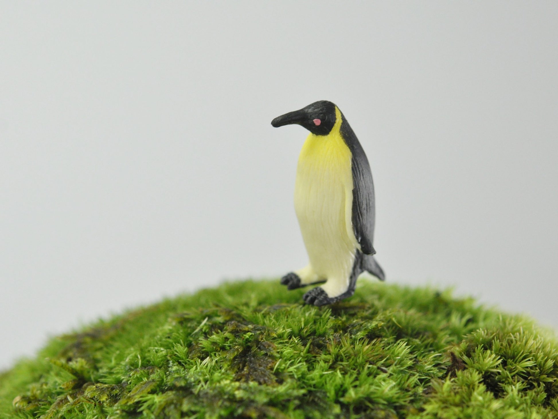 盆栽飾り・フィギア