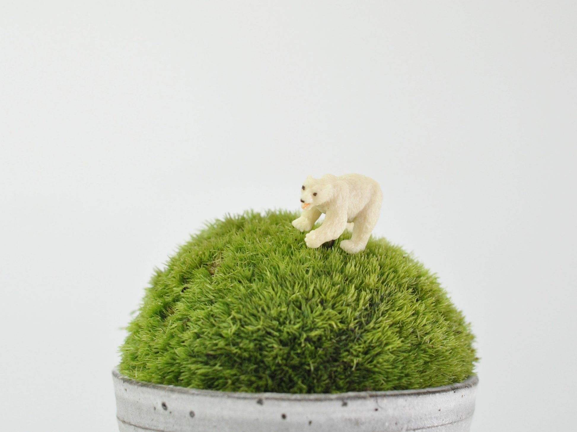 盆栽飾り・フィギア