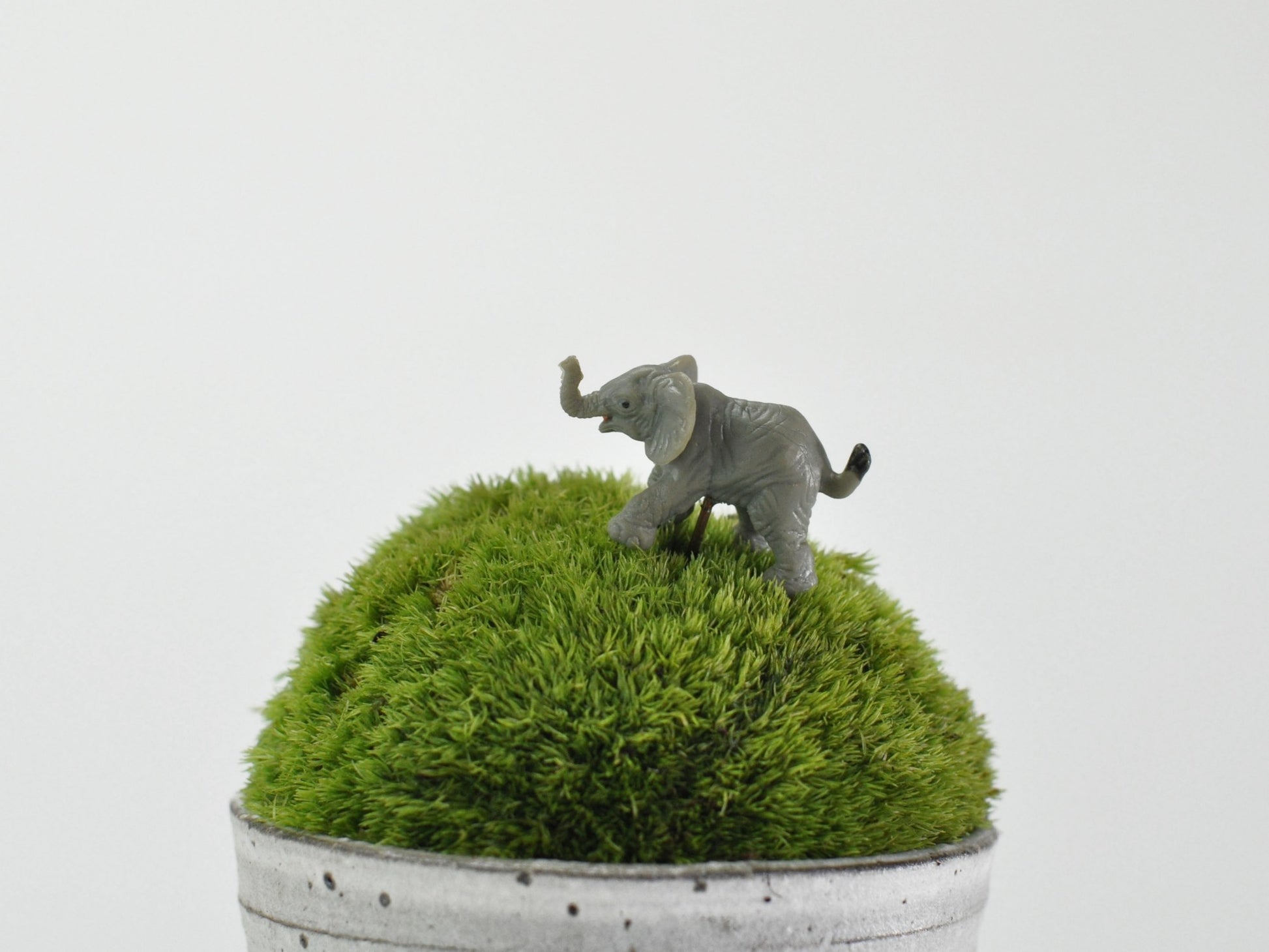 盆栽飾り・フィギア