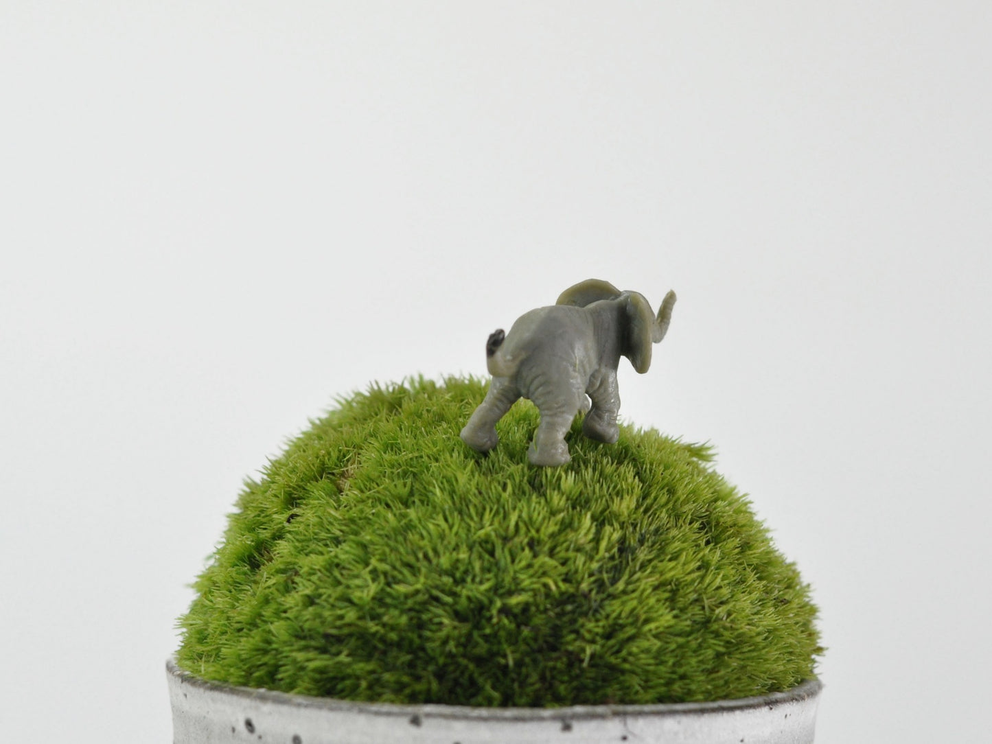 盆栽飾り・フィギア