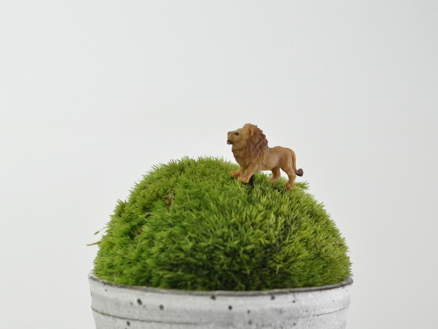 盆栽飾り・フィギア