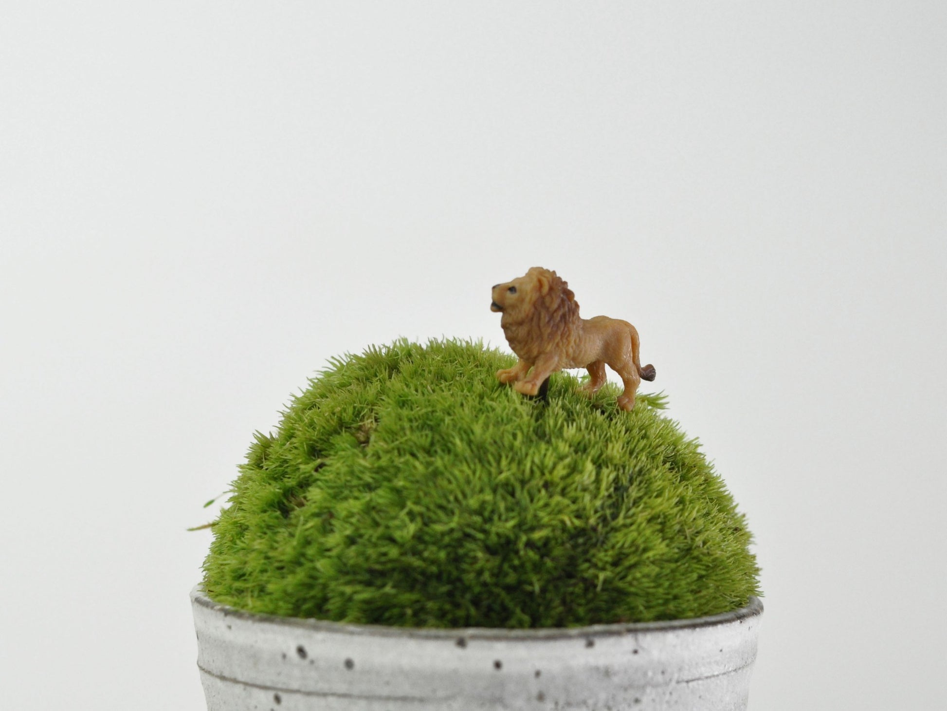 盆栽飾り・フィギア