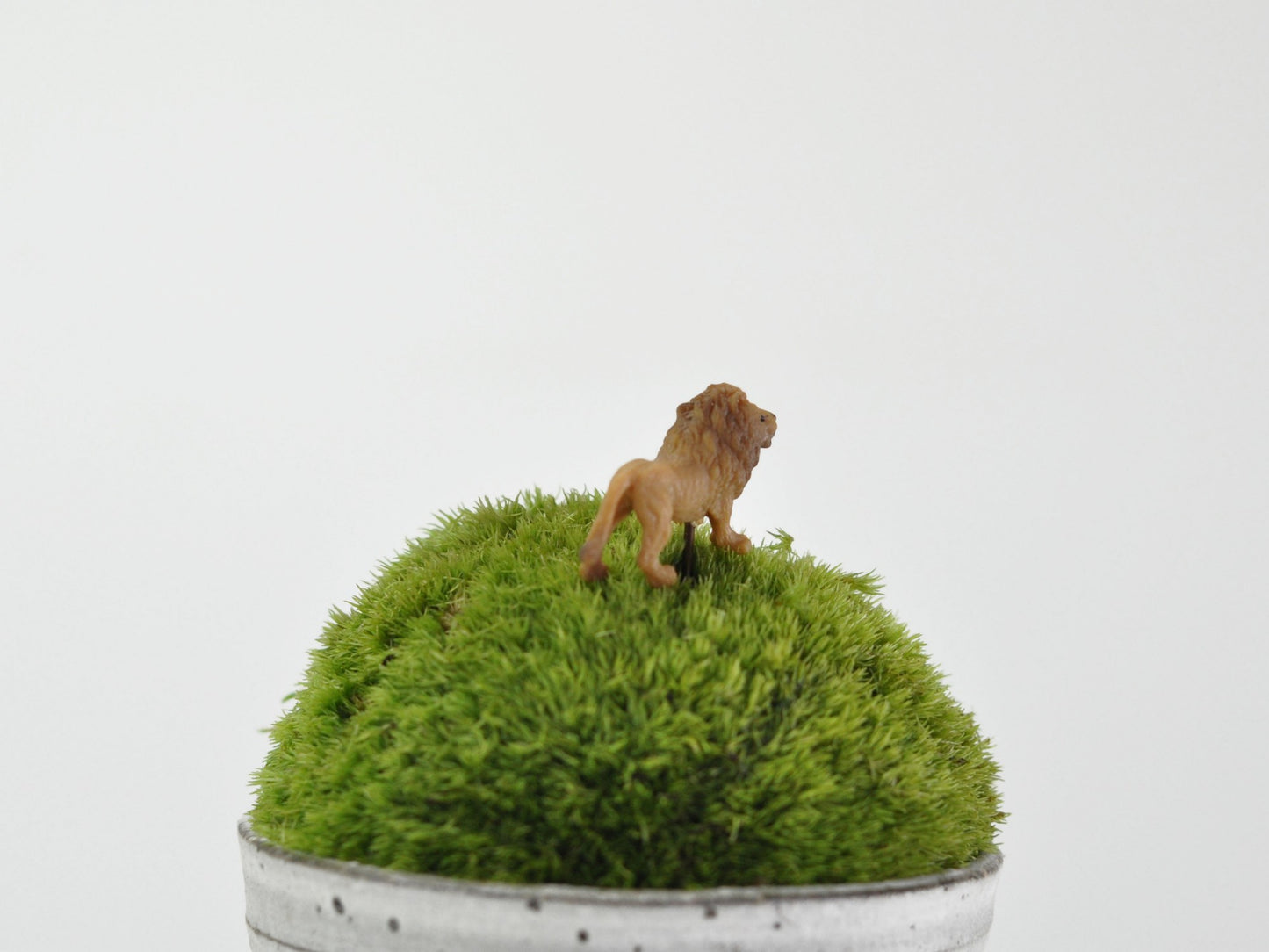 盆栽飾り・フィギア