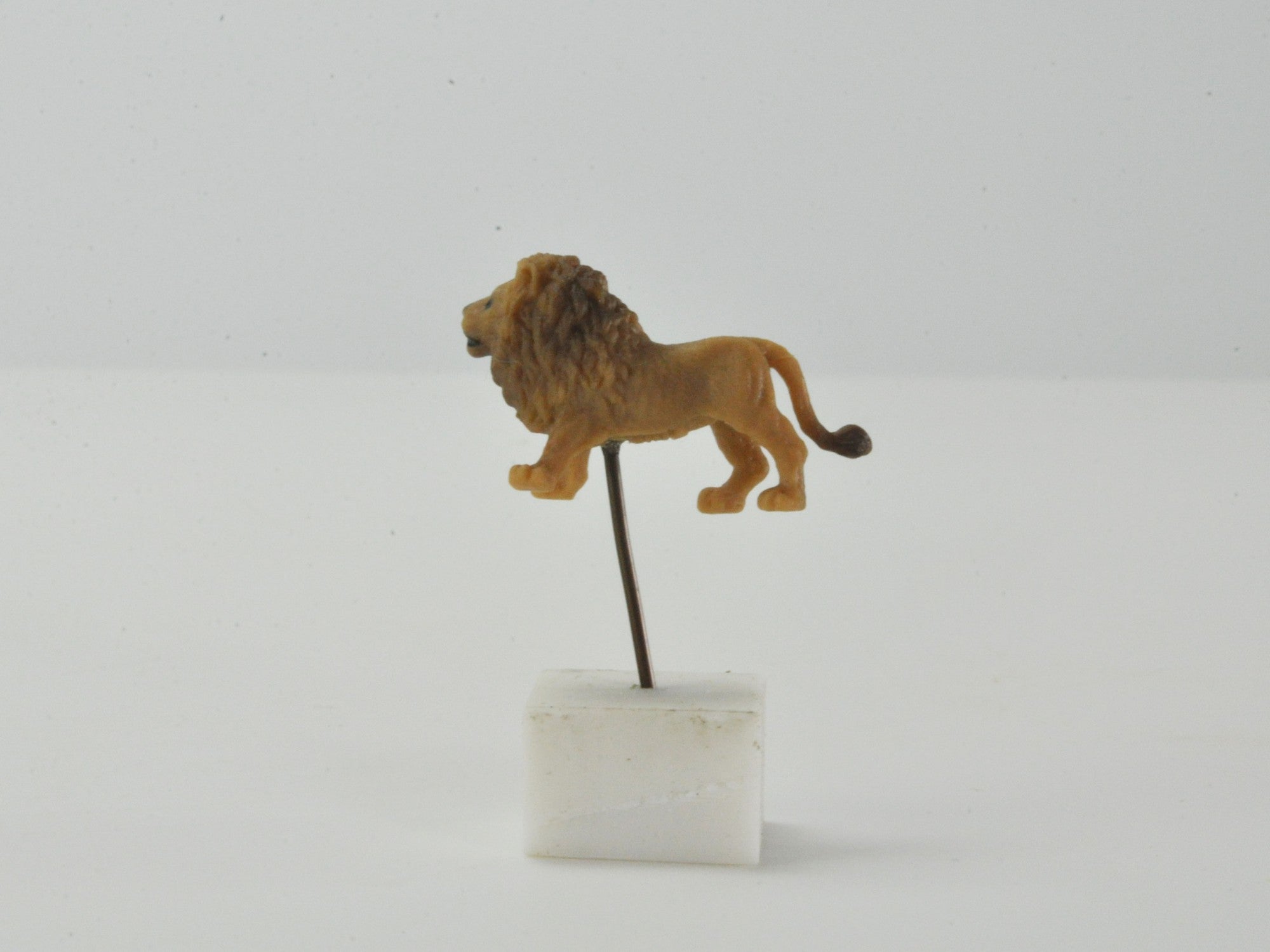 アニマルピック ライオンの販売｜盆栽妙 – 盆栽妙 本店