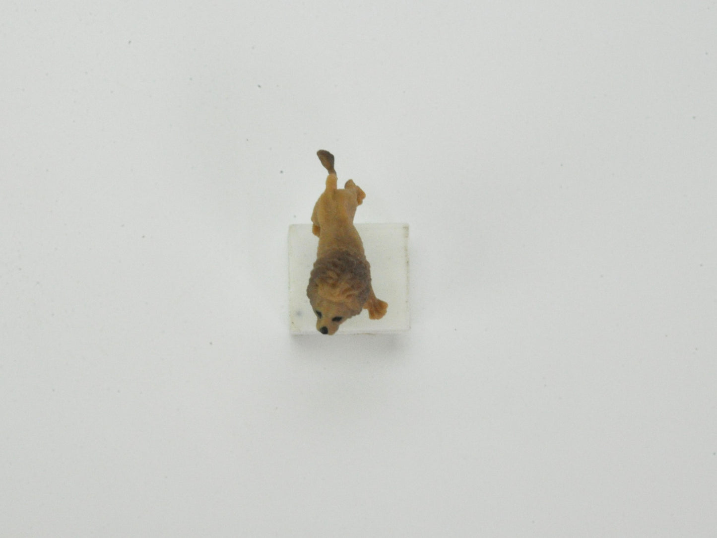 盆栽飾り・フィギア