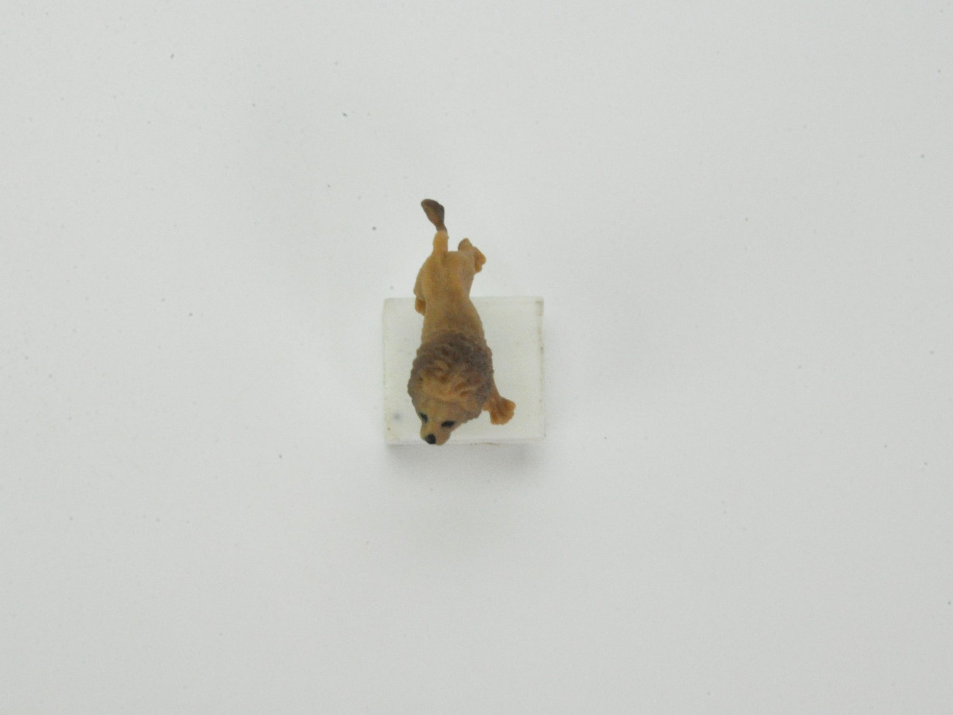 盆栽飾り・フィギア