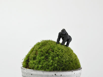 盆栽飾り・フィギア
