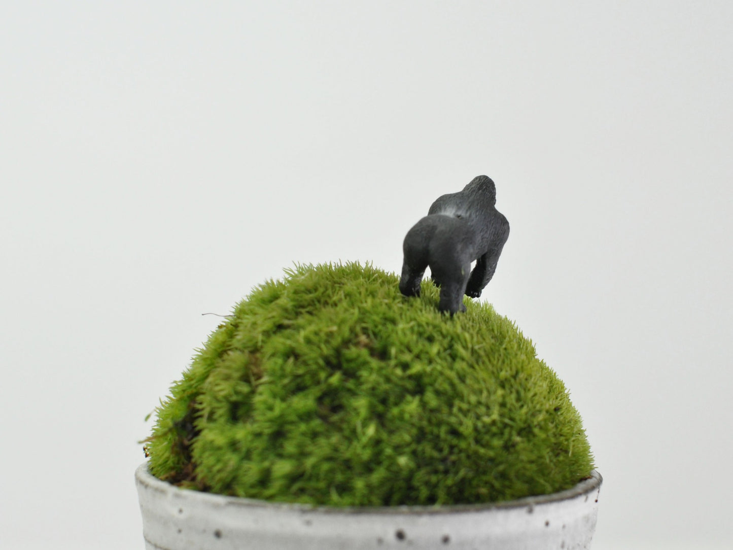 盆栽飾り・フィギア