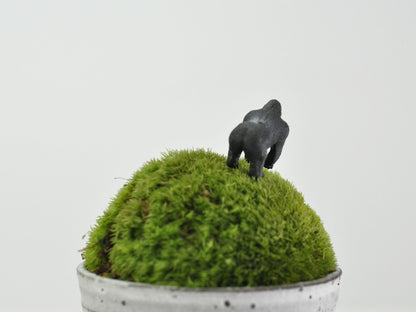 盆栽飾り・フィギア