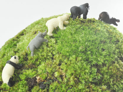 盆栽飾り・フィギア