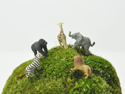 盆栽飾り・フィギア