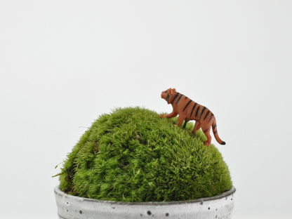 盆栽飾り・フィギア