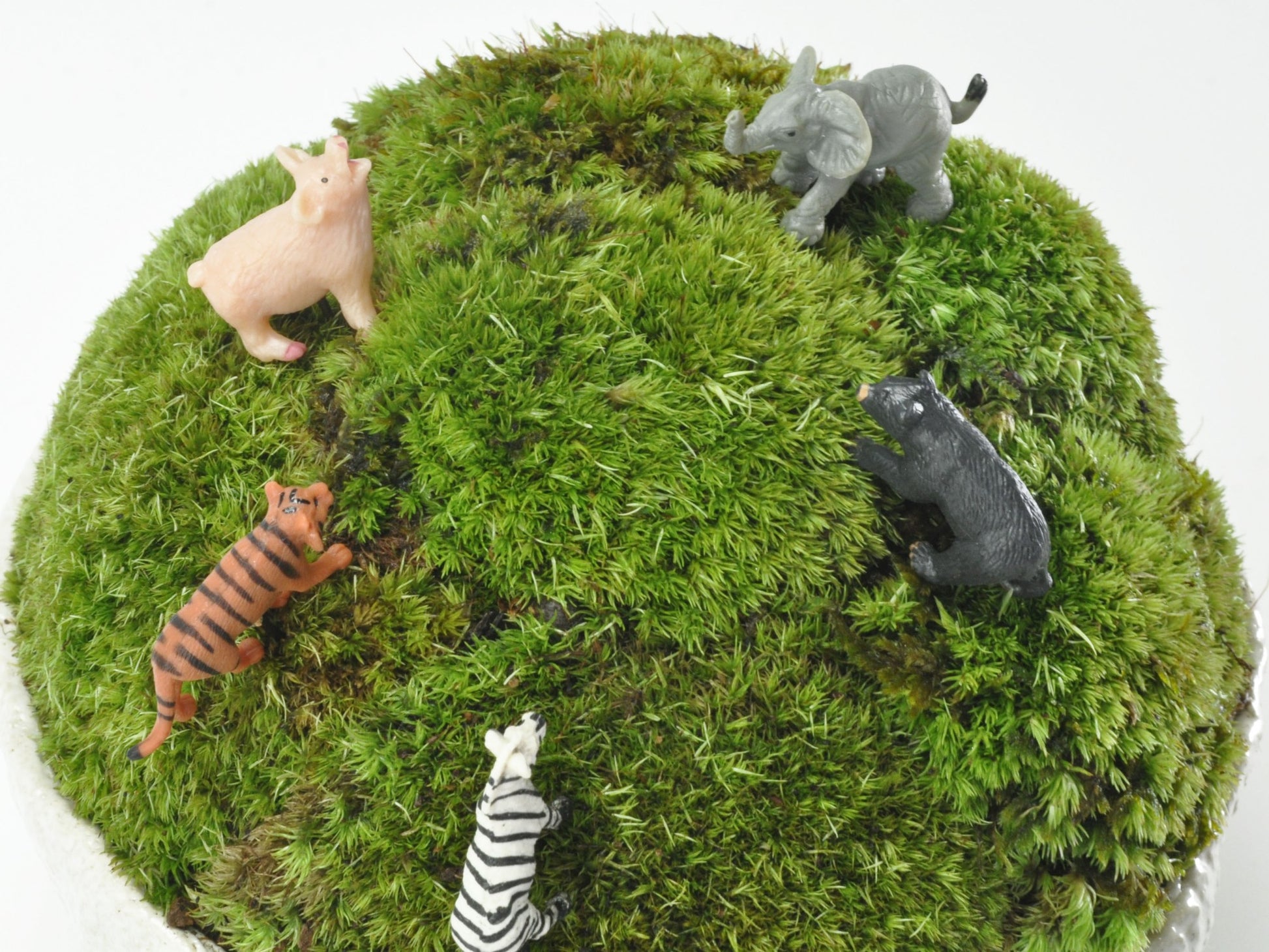 盆栽飾り・フィギア