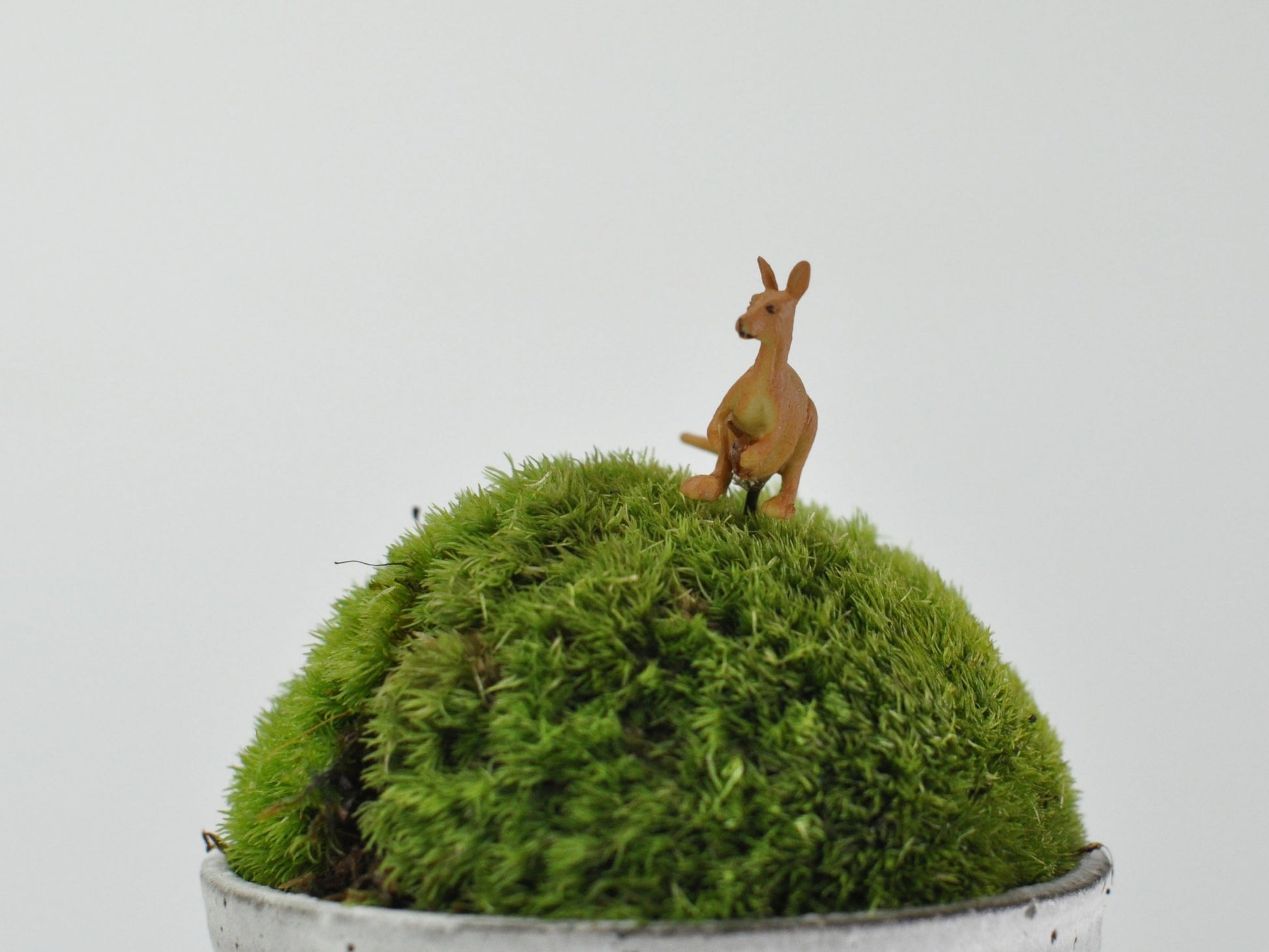 盆栽飾り・フィギア